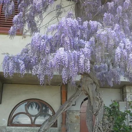 Bel Panorama Due Tatil Evi *