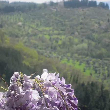 Bel Panorama Due